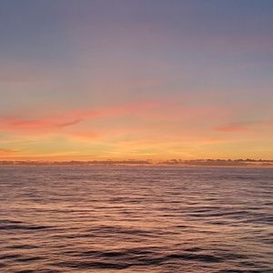 Meet your Posher, Mel.